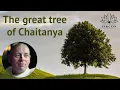 Download Lagu The great tree of Chaitanya [English]