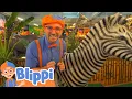 Blippi Visits Party Jungle Learn About Animals for Kids Educational s for Kids