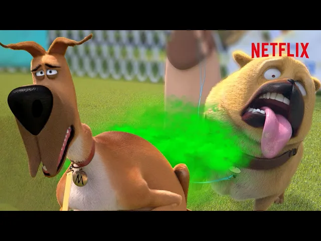 Marmaduke Blows Up The Dog Show! ? | Netflix