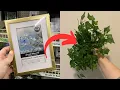 The genius NEW reason everyone s buying Dollar Store picture frames