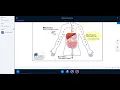 How to use BBB in Canvas for teaching online