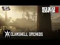 Clamshell Orchid Locations Red Dead Redemption 2 RDR2
