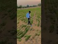 Download Lagu Aashiq : Billa Sonipat Ala (Full Video) New Haryanvi Songs 2022 | I Love ...YouTube #viralshorts