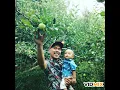 Download Lagu Andaikan aku punya sayap by Ardhana feat Kamanda