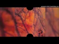 ScHoolboy Q - THat Part (Clean) (Black Hippy Remix)