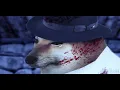 "They're Hanging Me Tonight" a cinematic doge music video
