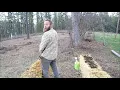 Straw Bale Garden Conditioning With URINE Myth or Magnificent
