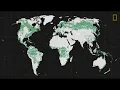 DEFORESTATION Name DIAMANTE BJIE 2J-MECHANICAL