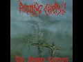 Rotting Christ - Exiled Archangels