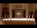 August 13 2026 - 8 15 AM Mass Memorial of St Pontian Pope and Hippolytus Priest Martyrs