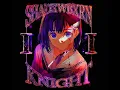 SHADXWBXRN - Knight II (Super Slowed)