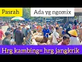 Berburu kambing di pasar bersama bapak haji hartanto, harganya masih murah