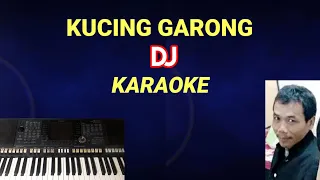 cat garong dj karaoke