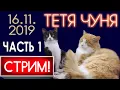 ЧУНЯ LIVE ❆ СТРИМ 16.11.2019 - ч.1