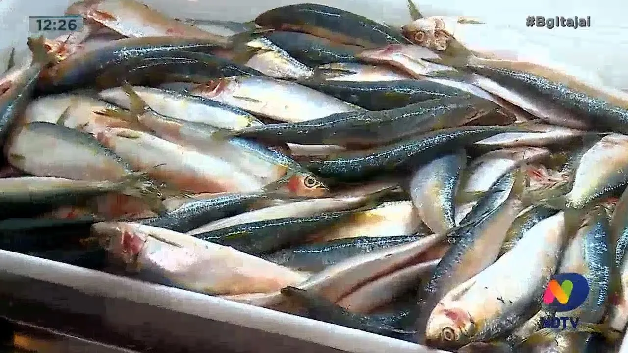 Mercados da região podem ficar sem sardinha devido a greve dos pescadores