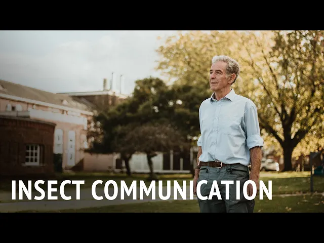 Insect Communication | Dr Murray Corke
