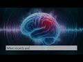 ADHD Stillness Sleep Noise | Quiet the Unquiet Mind | Deep Sleep & Overthinking Relief | 12 Hours