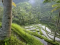 Download Lagu Jalan Jalan WaterGarden