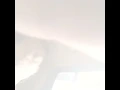 Dosa kau anggap madu