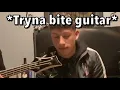 La Bestia - Junior H (cover)