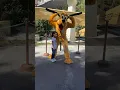 Download Lagu Pluto meet and greet #downtowndisney #pluto #meet #character