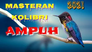 Download MASTERAN AMPUH | suara isian burung kolibri terbaru 2021 MP3