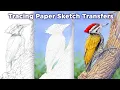 Tracing Paper Sketch Transfers for watercolor and other media Preserve your paper using this trick