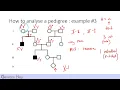 Pedigree Analysis 101 with practice problems