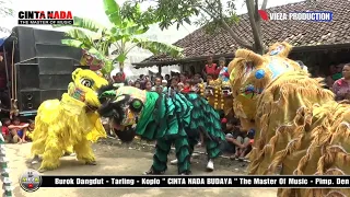 Download BARONGSAI (KOPI DANGDUT) | VOC. TAENI || BUROK CINTA NADA BUDAYA || SHOW SEKARDOJA 10/02 MP3