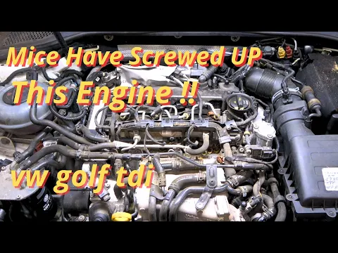 Download MP3 Volkswagen Golf TDI Goes in Limp Mode, Engine Loses Power, Code P2563 & P00AF - Diagnosis & Repair