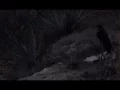 Bones - Okay ButThisIsTheLastTime