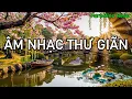 🎵Âm nhạc chữa lành nhẹ nhàng🌿Thư giãn hệ thần kinh và xoa dịu trái tim và tâm hồn