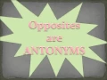 Antonyms are Opposites wmv