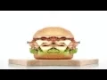 YTP - Arby s We Have The Memes by khanware