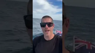 Parasailor! How do we fly it with the mainsail? #sailing #parasailing #shorts