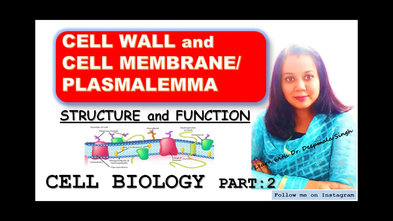 CELL WALL and CELL MEMBRANE/PLASMALEMMA.. Structure and Function