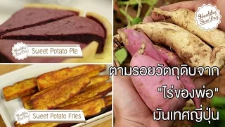 ทำไมการเก็บเกี่ยวหัวมันเทศญี่ปุ่นจึงต้องรออีกประมาณหนึ่งสัปดาห์