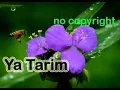 Download Lagu Ya Tarim Ya Tarim | Duhai Kota Tarim | Lirik Arab dan Latin | sholawat merdu | no copyright