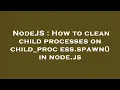 NodeJS How to clean child processes on child - process spawn in node js