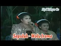 Sepuluh - Wolu Iromo // Tayub Tuban = Nyi Wantika dan Cak Darko Pramugari Kondang dari Bojonegoro