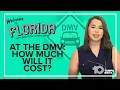 How much will you spend at the Florida DMV