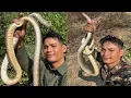 Snake Trap Technology - Awesome Snake Trap Using Cage Trap