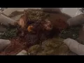 Alem Ethiopian Village food review