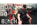 Bench Press Like a Beast The Ultimate How To Bench