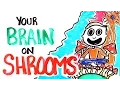 Your Brain On Shrooms
