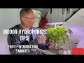 Download Lagu Indoor Hydroponic Tips - Part 1: Introduction - Basil