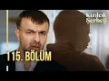 Lagu Kızılcık Şerbeti 115. Bölüm @showtv