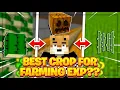 Finding the BEST Crop for Farming XP -