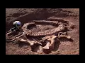 I am a paleontologist video (They Might Be Giants)