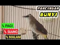 Download Lagu SUARA TRUCUKAN GACOR PANCINGAN BIAR TRUCUK JADI RAJIN BUNYI GACOR  PAGI SIANG MALAM HARI